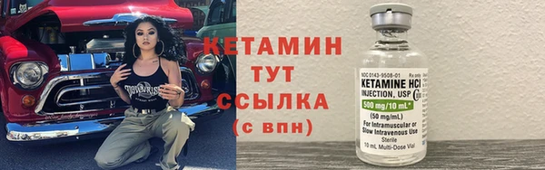 прущие грибы Балабаново