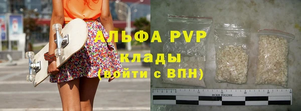прущие грибы Балабаново