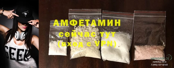 прущие грибы Балабаново