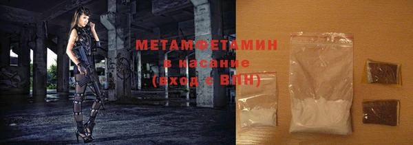 прущие грибы Балабаново