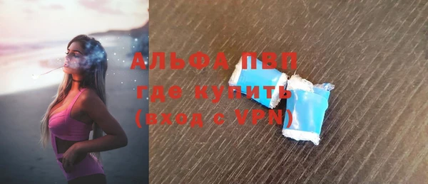 прущие грибы Балабаново