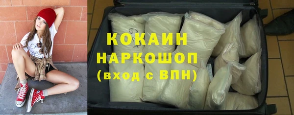 прущие грибы Балабаново