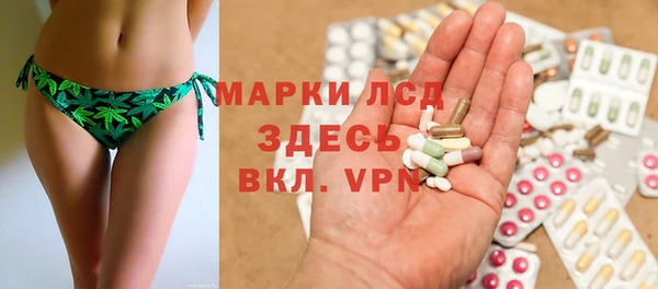 прущие грибы Балабаново