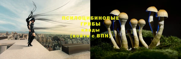a pvp Баксан