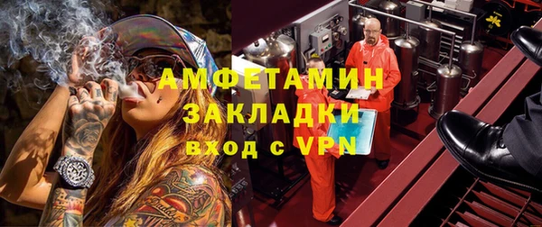 прущие грибы Балабаново