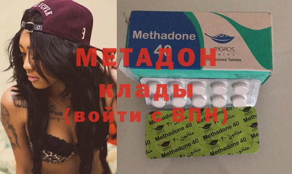 прущие грибы Балабаново