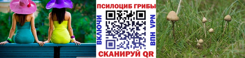 Псилоцибиновые грибы прущие грибы  Суворов 